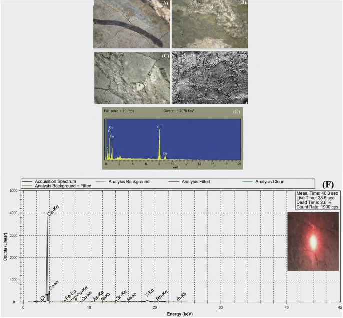 Fig. 11: Characterization of the green pigment.