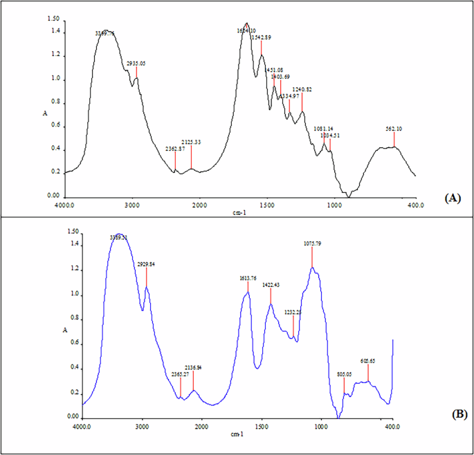 Fig. 14: FTIR identification of binding media.