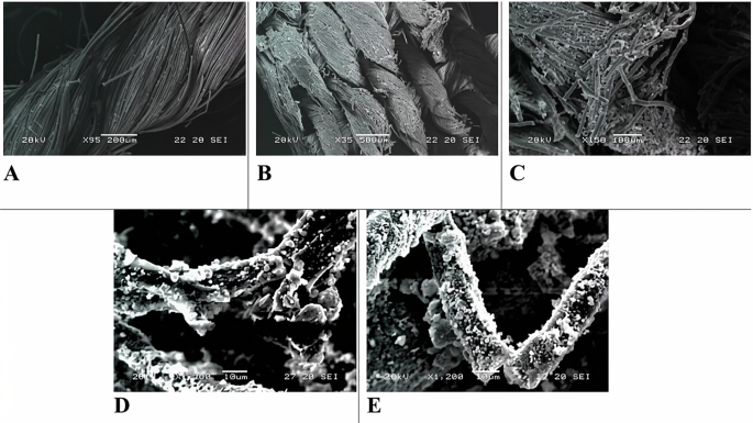 Fig. 5: SEM characterization of the textile support.