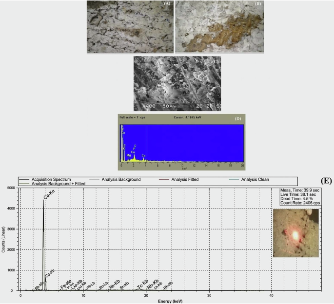 Fig. 7: Structure and composition of the preparatory ground layer.