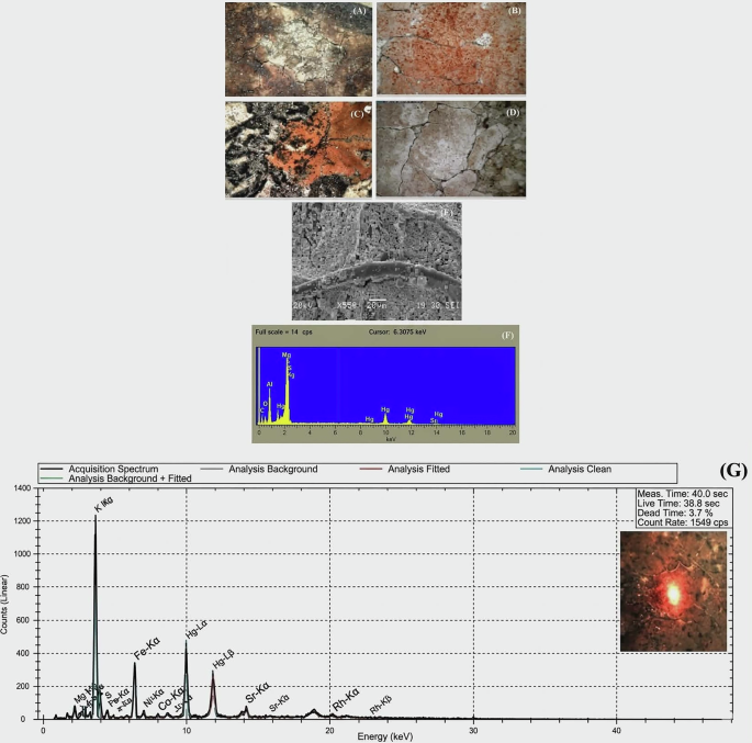 Fig. 9: Characterization of the red pigment.