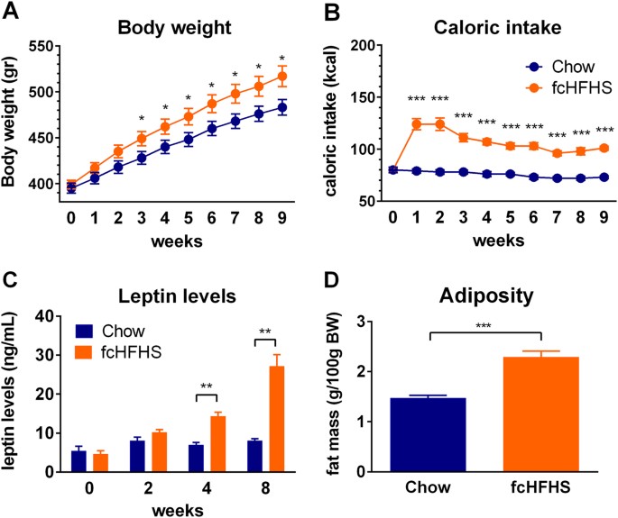 does leptin change rapidly due to diet