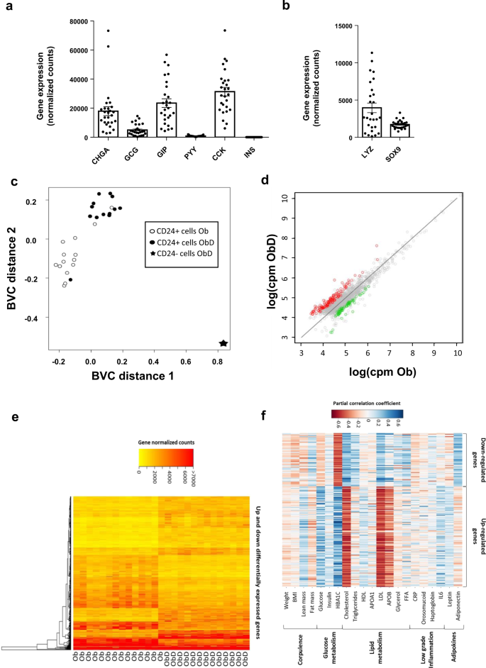 Type 2 diabetes is associated with impaired jejunal enteroendocrine GLP-1  cell lineage in human obesity | International Journal of Obesity