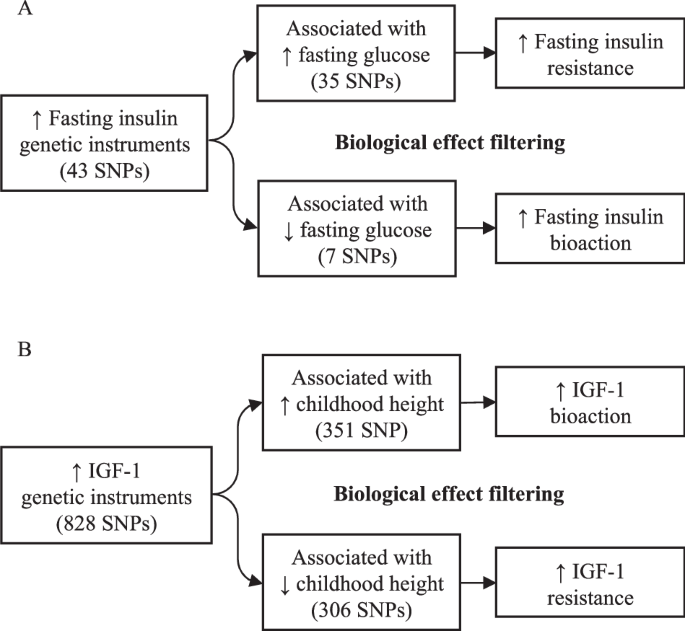 Fig. 1: Stratification of biomarker-associated genetic instruments by their biological effects on established downstream traits.