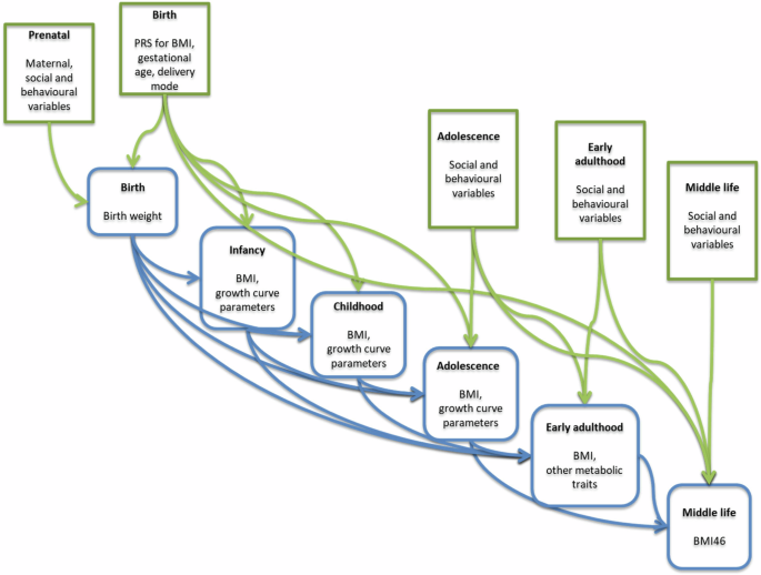 Fig. 1: Simplified conceptual directed acyclic graph (DAG) showing the model and the relationships between the variables.