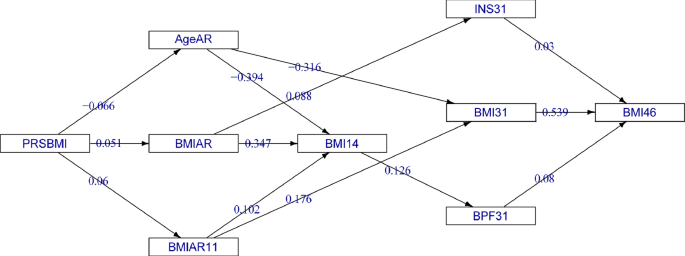 Fig. 3: Subgraph of the directed acyclic graph (DAG) from the Bayesian path analysis model (BLSEM), showing all paths between PRSBMI and BMI46 thresholding for mean posterior probabilities (MPPIs) ≥ 0.5.