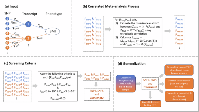 Fig. 1: General workflow of the study design.