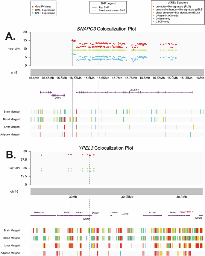 Fig. 2: Regional association plot including association results for the discovery sample (Framingham Heart Study) for SNP with gene expression (blue), gene expression with BMI (green), and the correlated meta-analysis for SNP ~ gene expression ~ BMI (red).