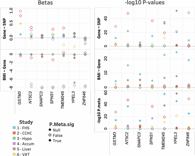 Fig. 3: Summary of generalization for most significant SNP in discovery corelated meta-analysis.