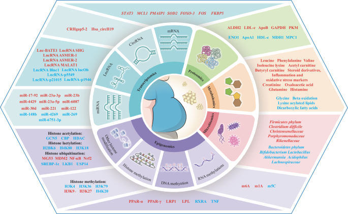 Multiomics strategy-based obesity biomarkers discovery for precision  medicine | International Journal of Obesity