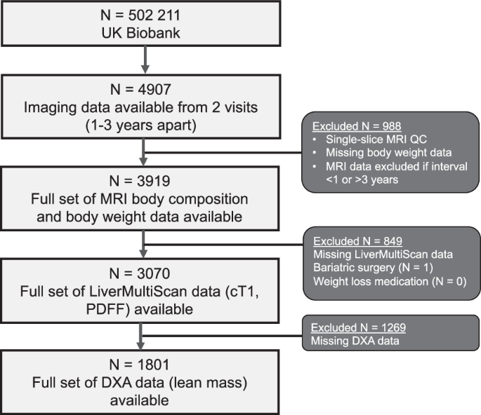 Fig. 1: Study population.