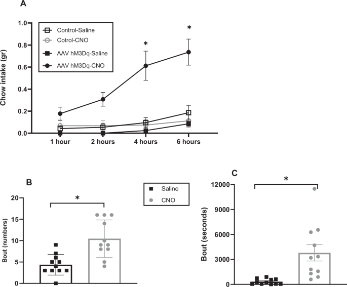 Fig. 3: Activation of CeA NPY neurons promotes food consumption.