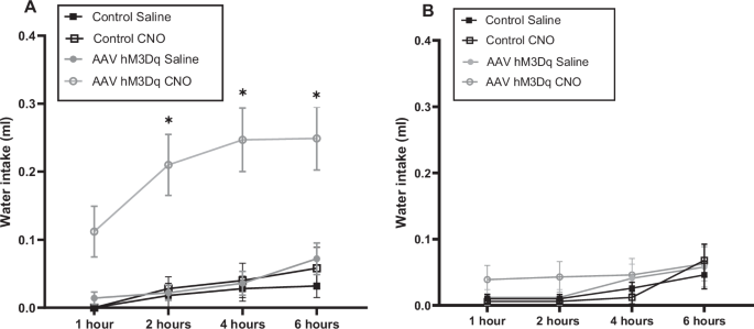 Fig. 5: Chemogenetic activation of NPY neurons in the central amygdala increases postprandial water consumption.