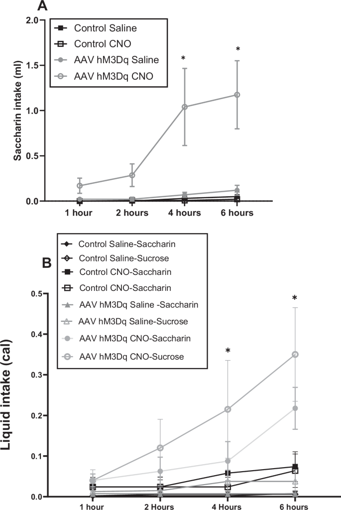 Fig. 6: Chemogenetic activation of NPY neurons in the central amygdala increases consumption of both caloric and non-caloric solutions.