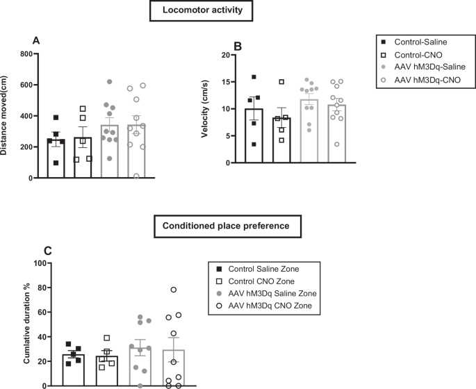Fig. 7: Chemogenetic activation of CeA NPY neurons does not affect locomotor activity and conditioned place preference or aversion.