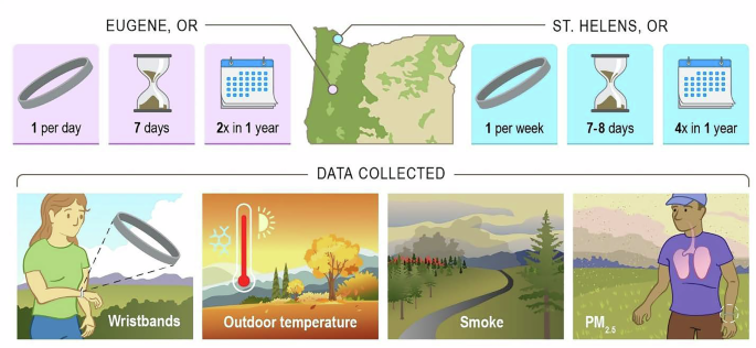 Fig. 1: Study design.
