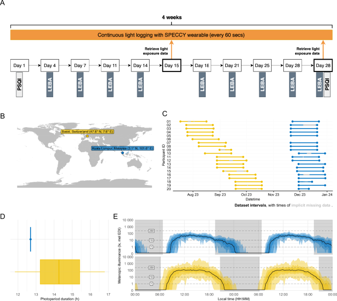 Fig. 1: Overview of the study design.