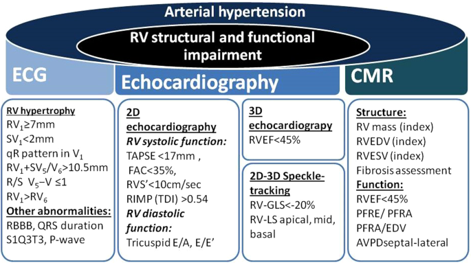 Regional left ventricular systolic dysfunction associated with critical  illness: incidence and effect on outcome - Cavefors - 2021 - ESC Heart  Failure - Wiley Online Library