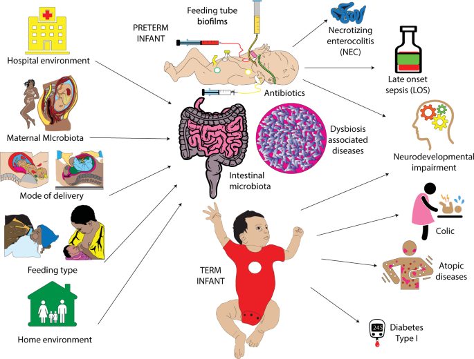 dysbiosis and disease