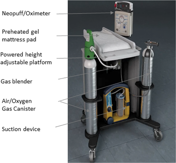 A review of different resuscitation platforms during delayed cord clamping  | Journal of Perinatology