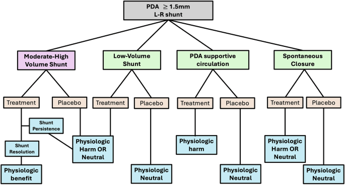 Fig. 1: Conceptual framework of pathophysiologic states which may exist in patients with a PDA diameter threshold of ≥1.5 mm.
