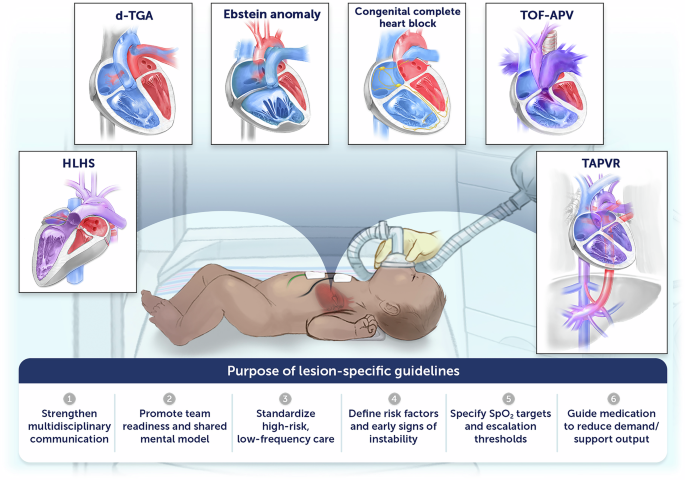 Fig. 1: The six purposes of the clinical practice guidelines (CPGs) for DR management of newborns with CCHD.