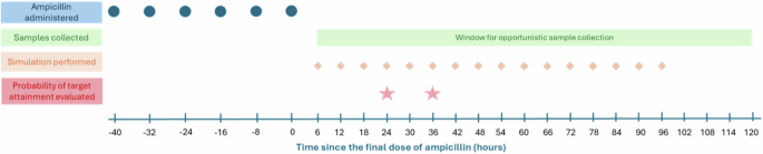 Fig. 1: Example timeline of ampicillin administration, sample collection, and pharmacokinetic simulations.