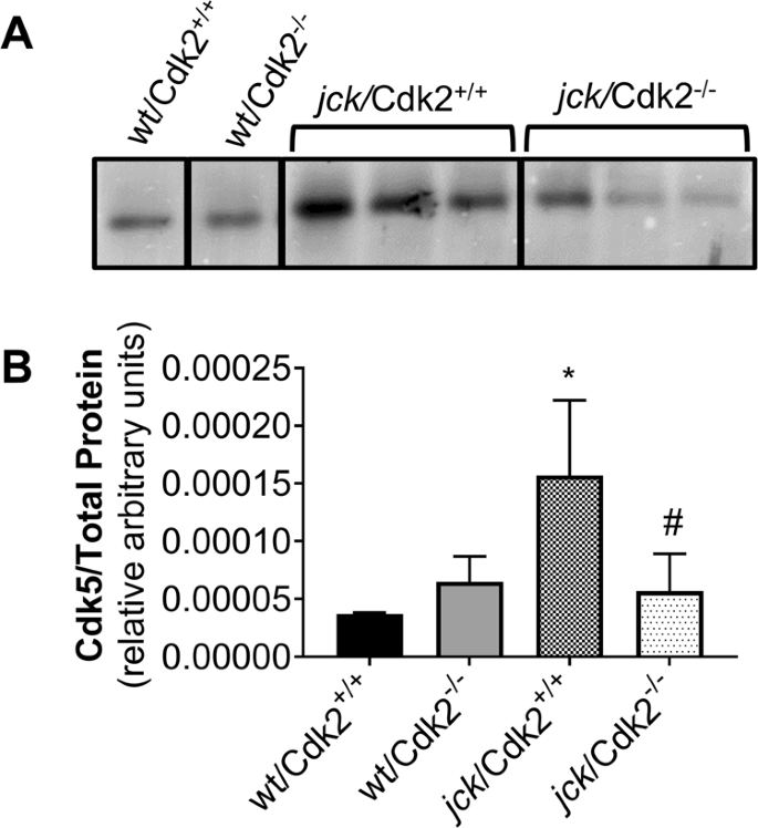 figure 15