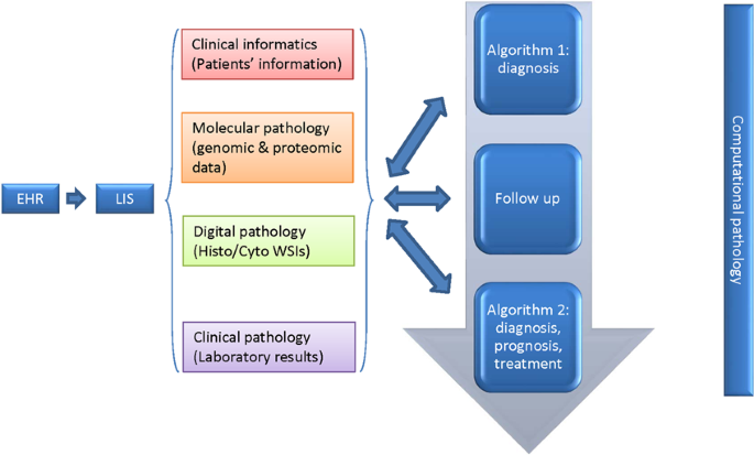 Artificial intelligence and computational pathology | Laboratory 