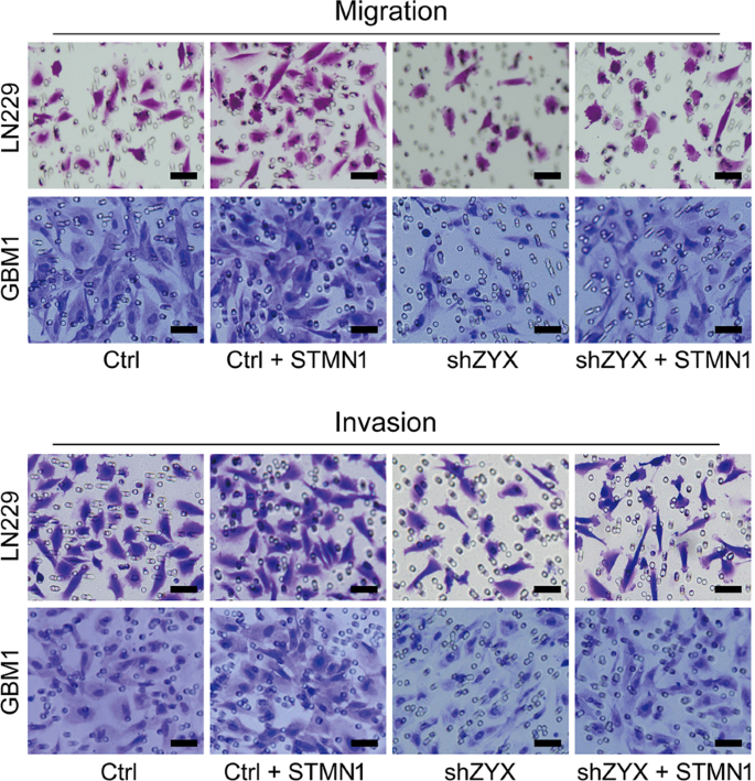 figure c