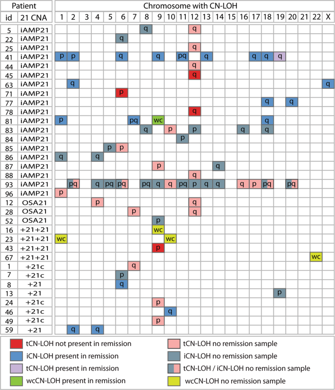 Sh2b3 Inactivation Through Cn Loh 12q Is Uniquely Associated With B Cell Precursor All With Iamp21 Or Other Chromosome 21 Gain Leukemia