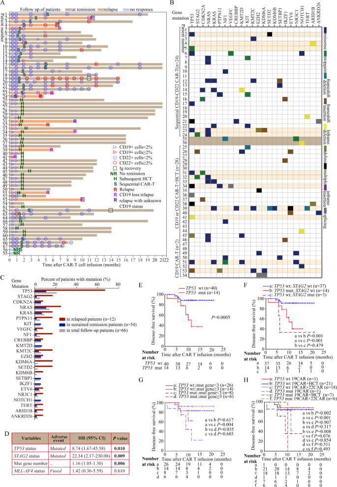 Frequent Occurrence Of Cd19 Negative Relapse After Cd19 Car T And Consolidation Therapy In 14 Tp53 Mutated R R B All Children Leukemia