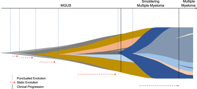 Positive Selection As The Unifying Force For Clonal Evolution In Multiple Myeloma Leukemia
