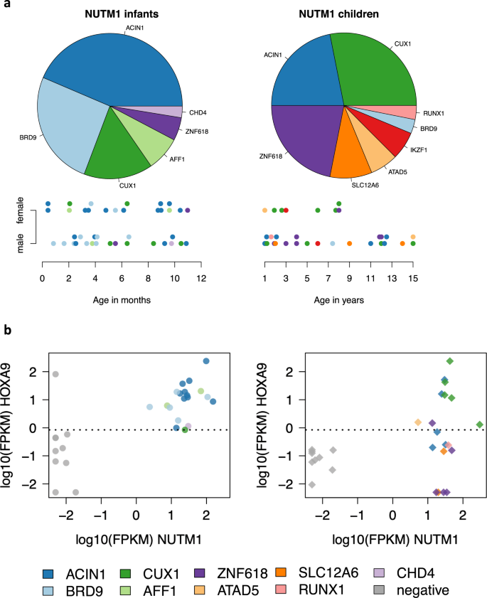 Fig. 2: Different NUTM1 partners in infants and children.
