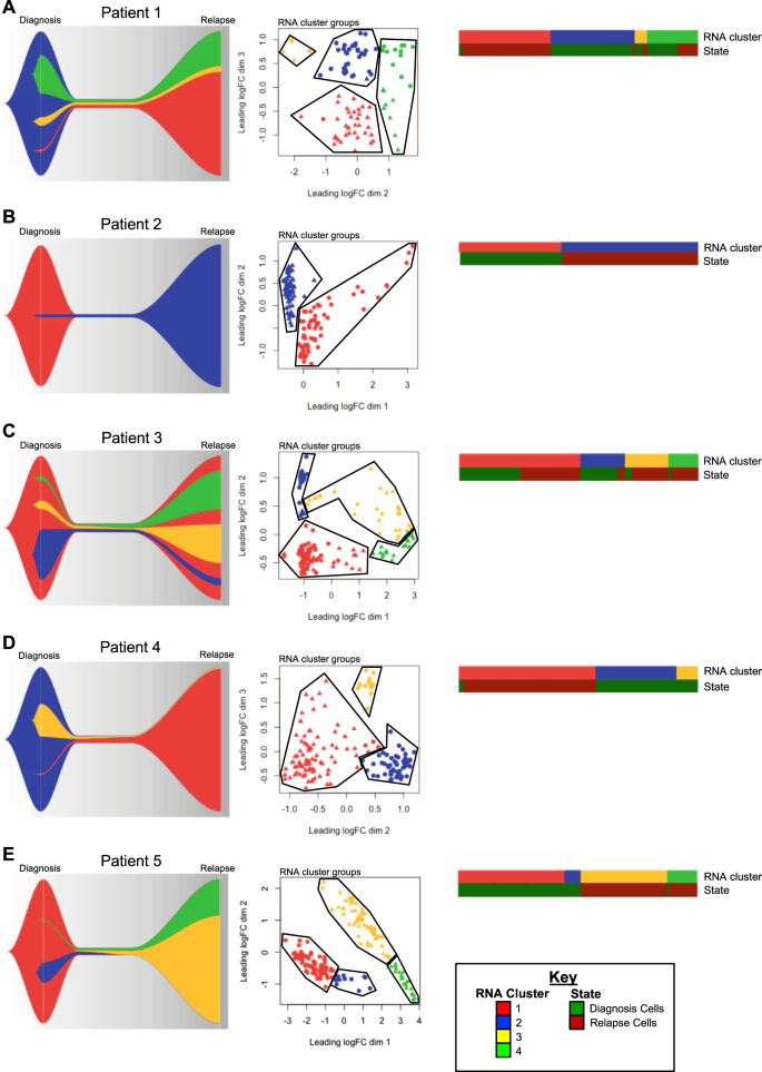 Single Cell Rna Sequencing Of Aml Initiating Cells Reveals Rna Based Evolution During Disease Progression Leukemia