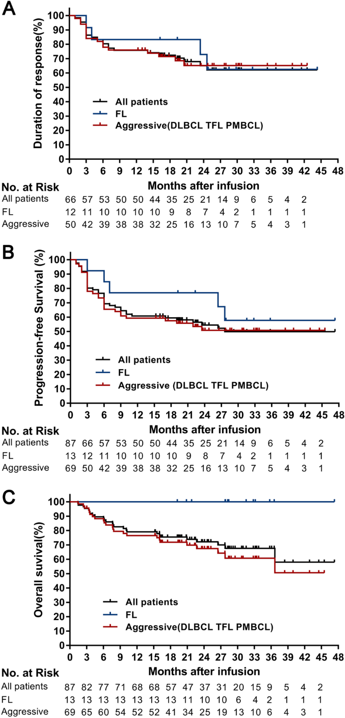 Fig. 3: Kaplan–Meier estimates of the duration of response, progression-free survival, and overall survival.