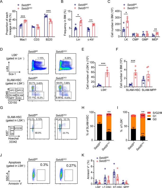 Fig. 1: Setd5 deficiency causes phenotypic HSPC expansion.