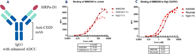 Fig. 1: The molecule structure and binding activities of IMM0306.