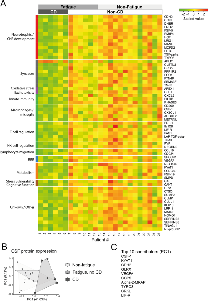 Cognitive impairments correlate with increased central nervous