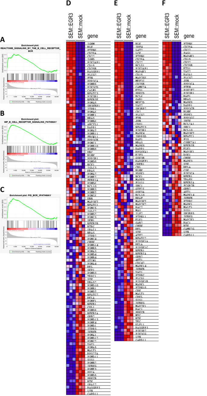 Fig. 1: Gene set enrichment analysis (GSEA) of SEM::EGR3 and SEM::mock.