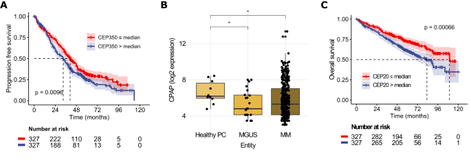 Fig. 5: Gene expression analysis of centriolar proteins in PCD patients and their correlation with survival in MM patients.