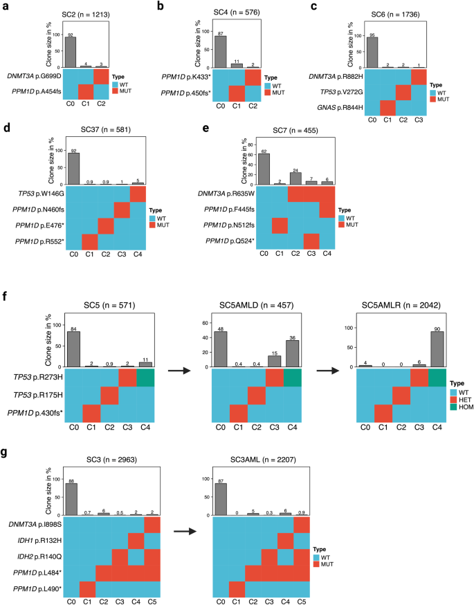 Fig. 6: Clonal architecture of therapy-related CH mutations in selected cases at single-cell resolution.