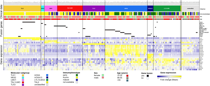 Fig. 1: Molecular subgroups in adult T-ALL.