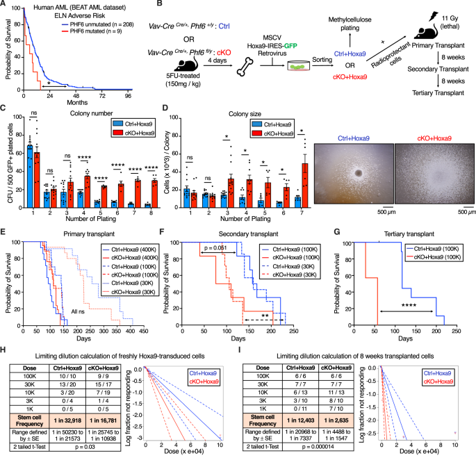 PHF6 suppresses self-renewal of leukemic stem cells in AML | Leukemia