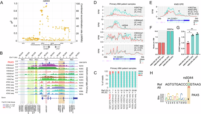 Fig. 1: Genetic and epigenetic features at the 11q13.3 risk locus.