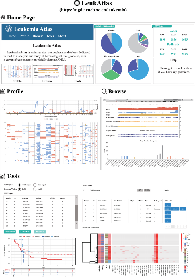 Patterns and variations of copy number alterations in acute myeloid ...
