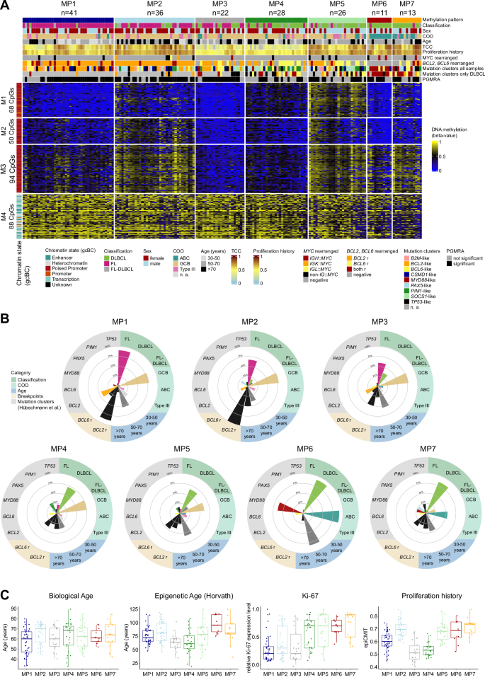 Fig. 1: DNA methylation profiling and characterization of germinal center-derived B-cell lymphomas.