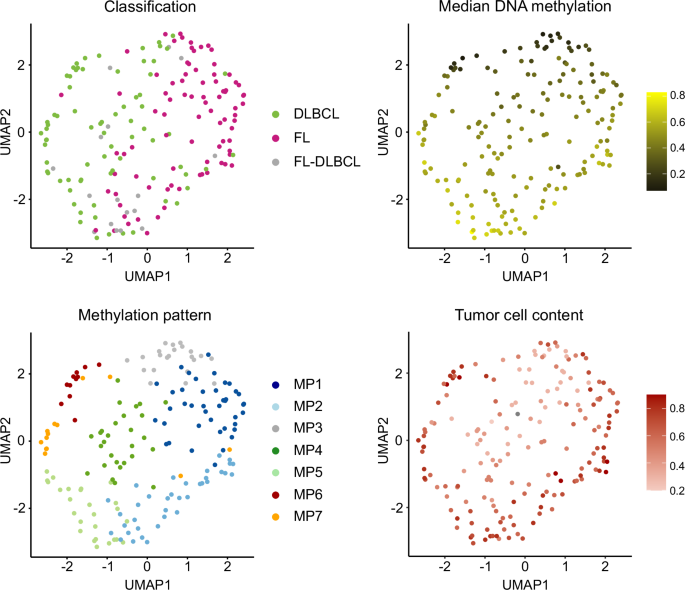 Fig. 2: UMAP analysis of the 300 CpGs in germinal center-derived B-cell lymphomas.
