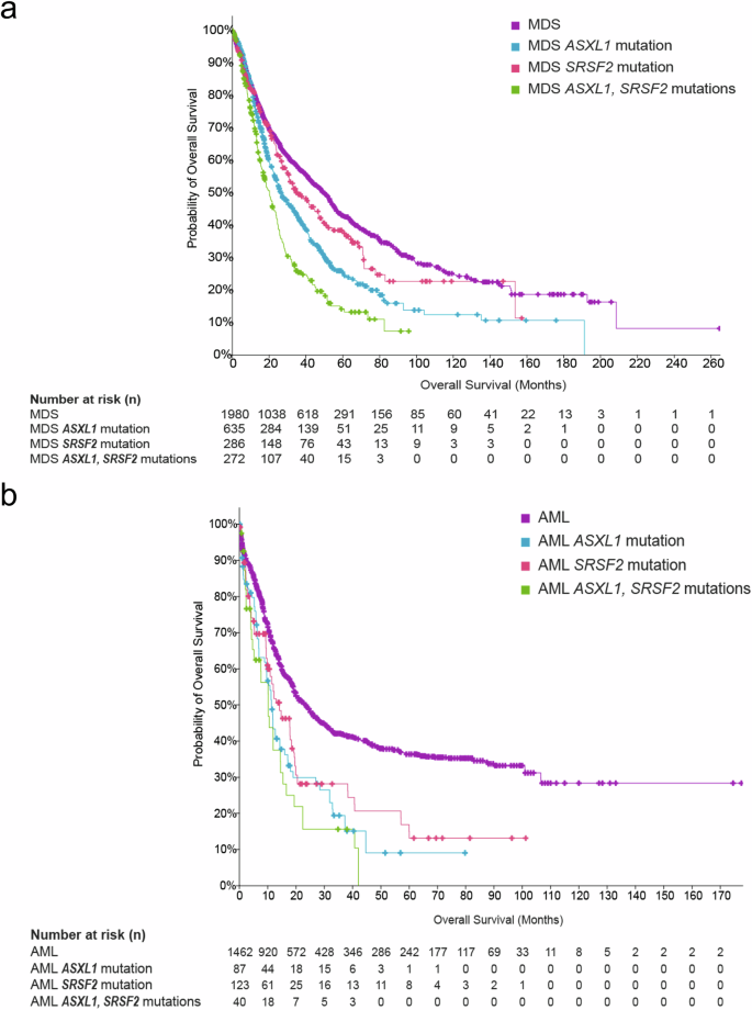 Fig. 5: Patient overall survival in relation to ASXL1 and SRSF2 mutation in MDS and AML.