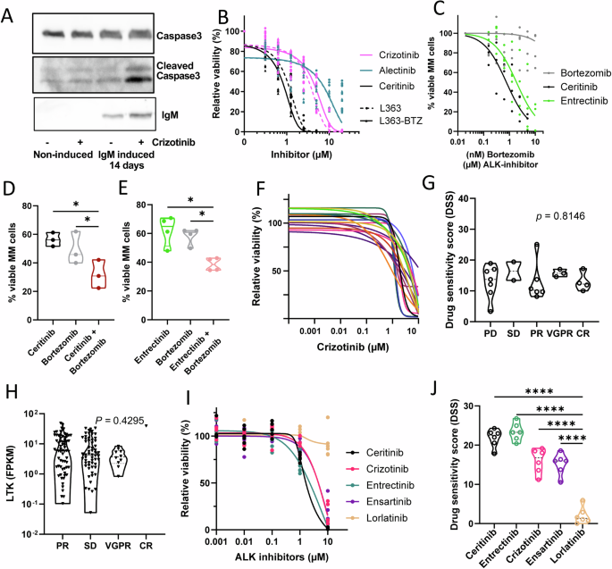 Fig. 3: Inhibition of LTK in hypersecretory cells reduces viability.